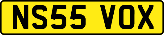 NS55VOX
