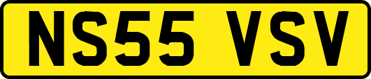 NS55VSV