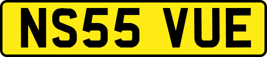 NS55VUE