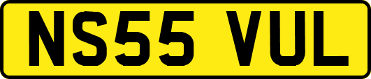 NS55VUL