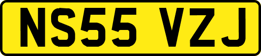 NS55VZJ