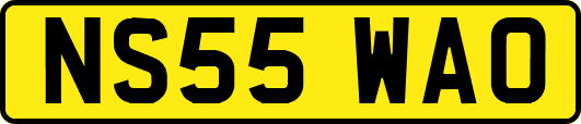 NS55WAO