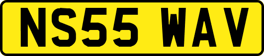 NS55WAV