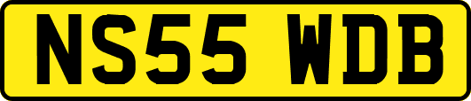 NS55WDB