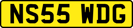 NS55WDG