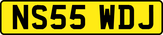 NS55WDJ