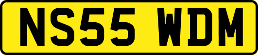 NS55WDM