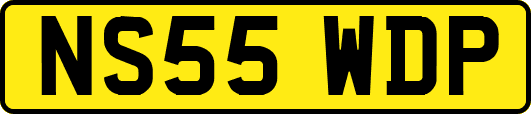 NS55WDP