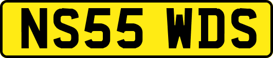 NS55WDS
