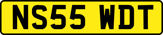NS55WDT