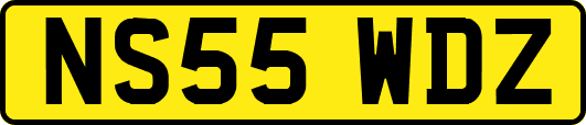 NS55WDZ