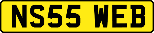NS55WEB