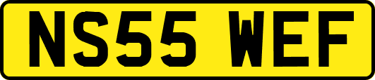 NS55WEF