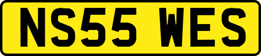 NS55WES