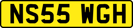 NS55WGH