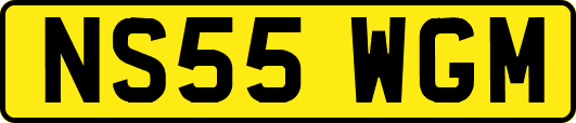 NS55WGM