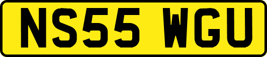 NS55WGU