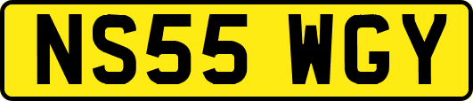 NS55WGY