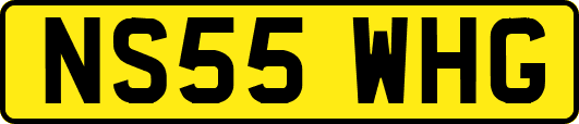 NS55WHG