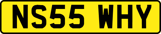 NS55WHY
