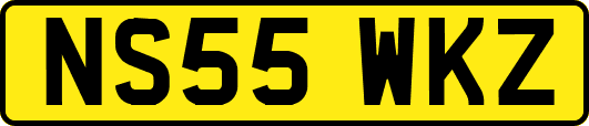 NS55WKZ