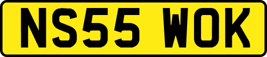NS55WOK