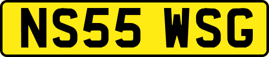 NS55WSG