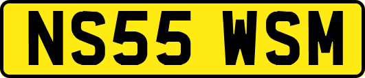 NS55WSM