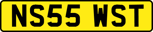 NS55WST