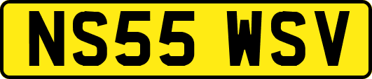 NS55WSV