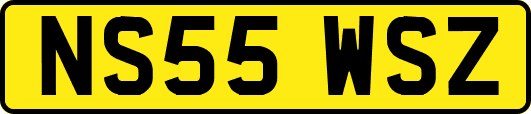 NS55WSZ