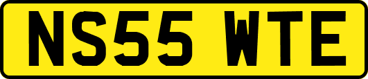 NS55WTE