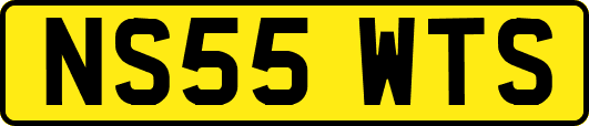 NS55WTS