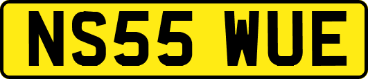 NS55WUE