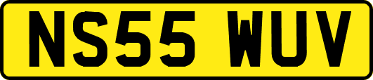 NS55WUV
