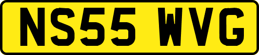 NS55WVG