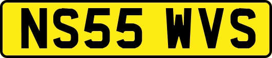 NS55WVS