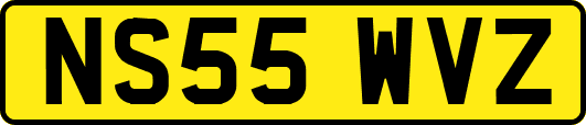 NS55WVZ