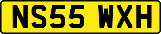 NS55WXH