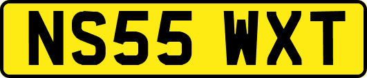 NS55WXT