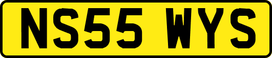 NS55WYS