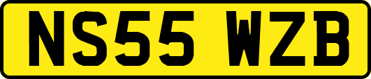 NS55WZB