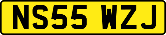 NS55WZJ