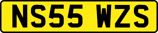 NS55WZS
