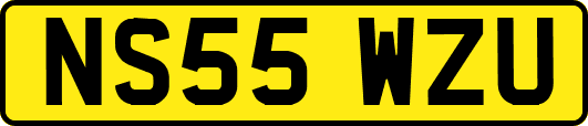 NS55WZU