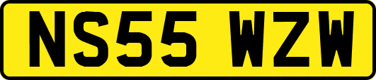NS55WZW