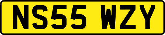 NS55WZY