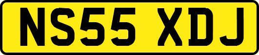 NS55XDJ