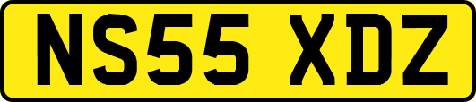 NS55XDZ