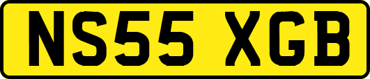 NS55XGB